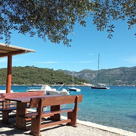Holiday Home Villa Kastel Zrnovo エクステリア 写真