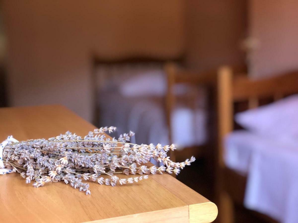 Holiday Home Villa Kastel Zrnovo エクステリア 写真
