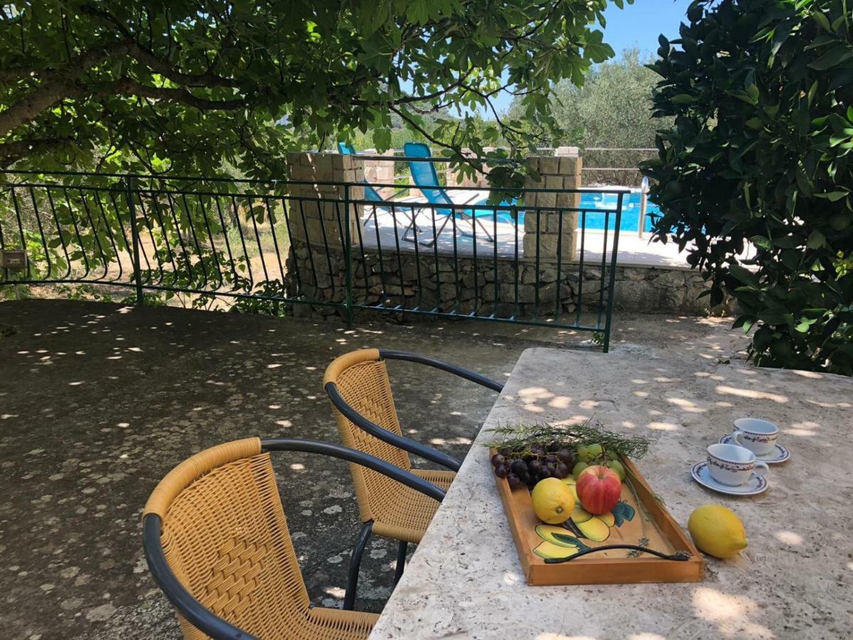 Holiday Home Villa Kastel Zrnovo エクステリア 写真