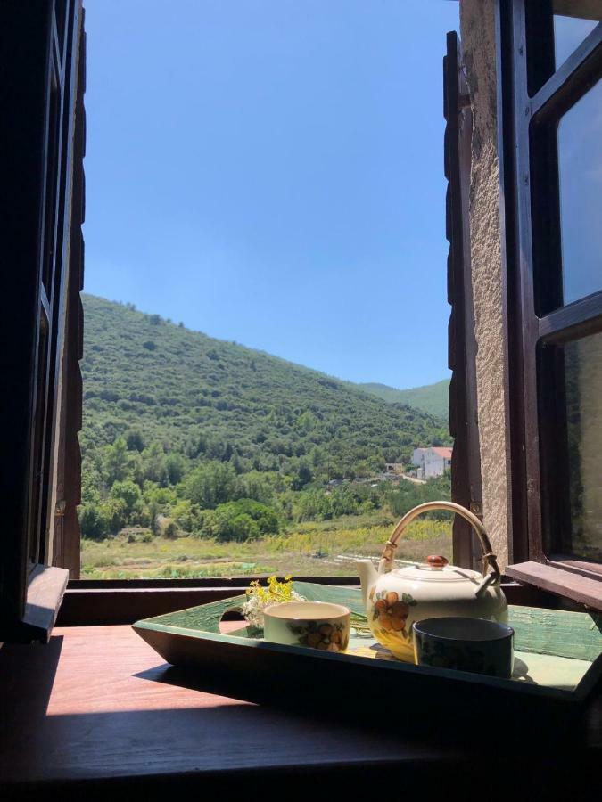 Holiday Home Villa Kastel Zrnovo エクステリア 写真