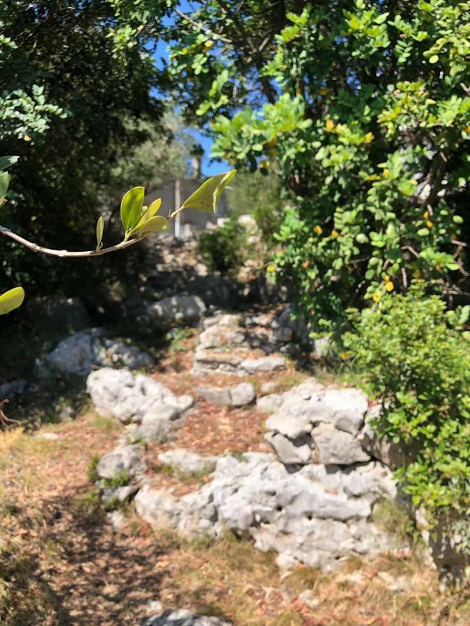 Holiday Home Villa Kastel Zrnovo エクステリア 写真